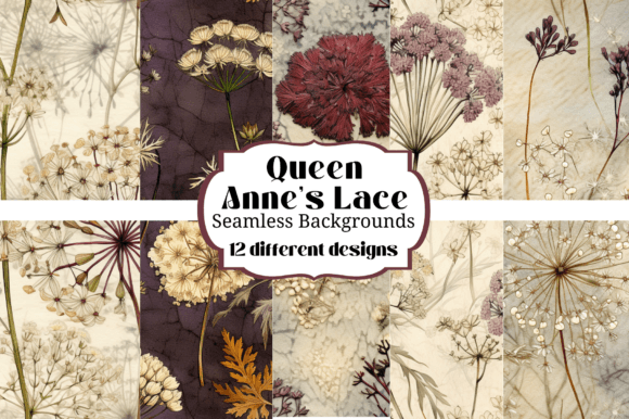 Queen Anne's Lace Floral Backgrounds
