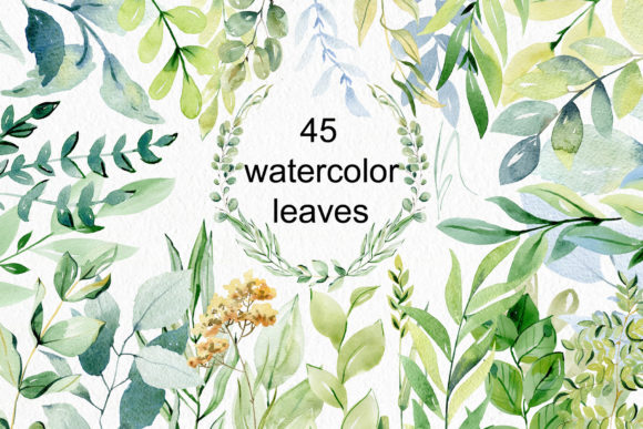 Download Watercolor Leaves Clipart. - Watercolor leaves Collection
